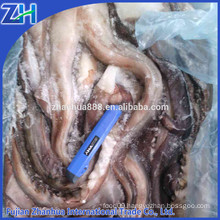 frozen peru giant squid tentacle cleaned 2016 Dosidicus Gigas